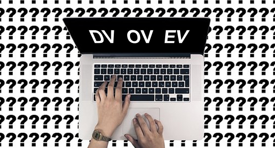 政府网站应该部署国际DV SSL证书和国密OV/EV SSL证书